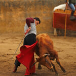 Daniel Luque en Conde de Mayalde