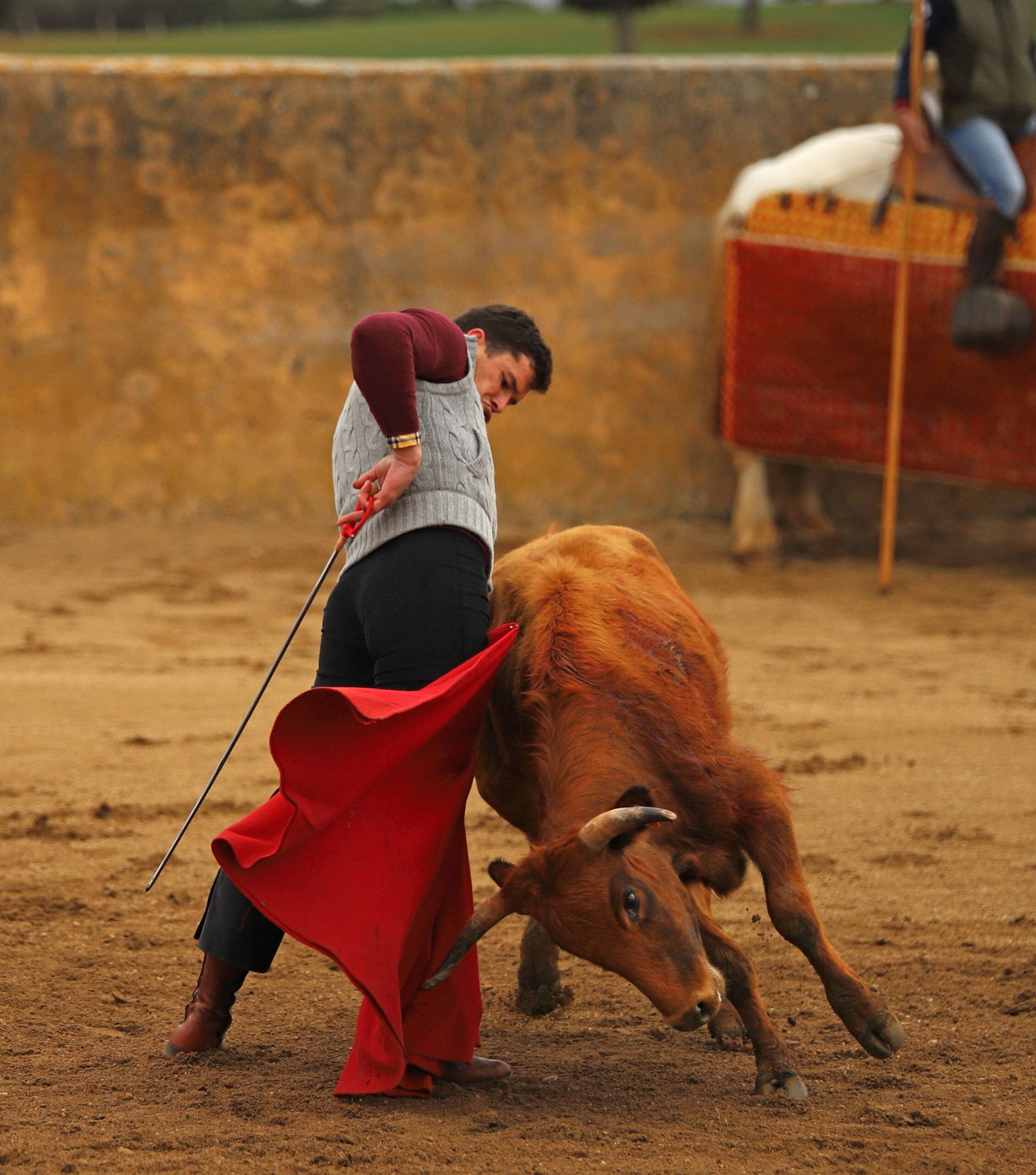 Daniel Luque en Conde de Mayalde