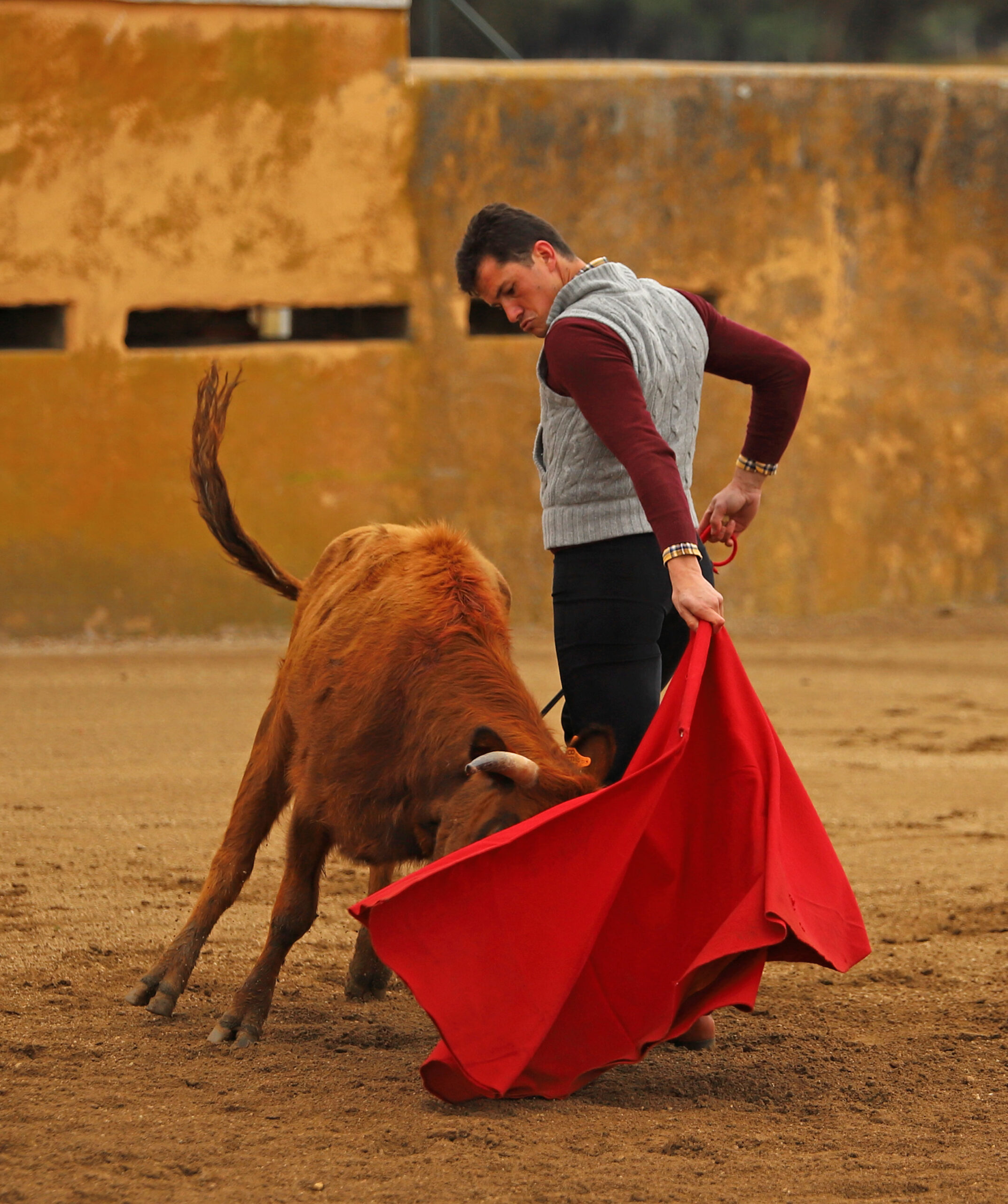 Daniel Luque en Conde de Mayalde