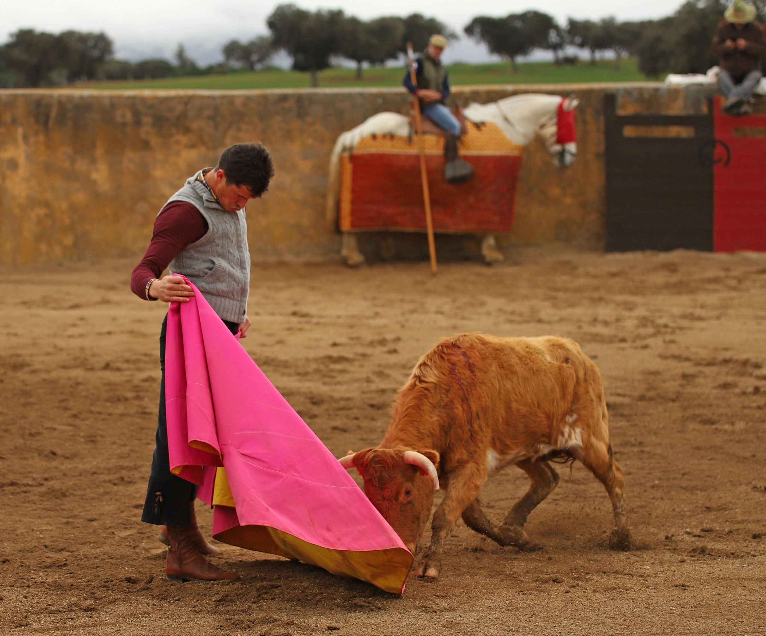 Daniel Luque en Conde de Mayalde