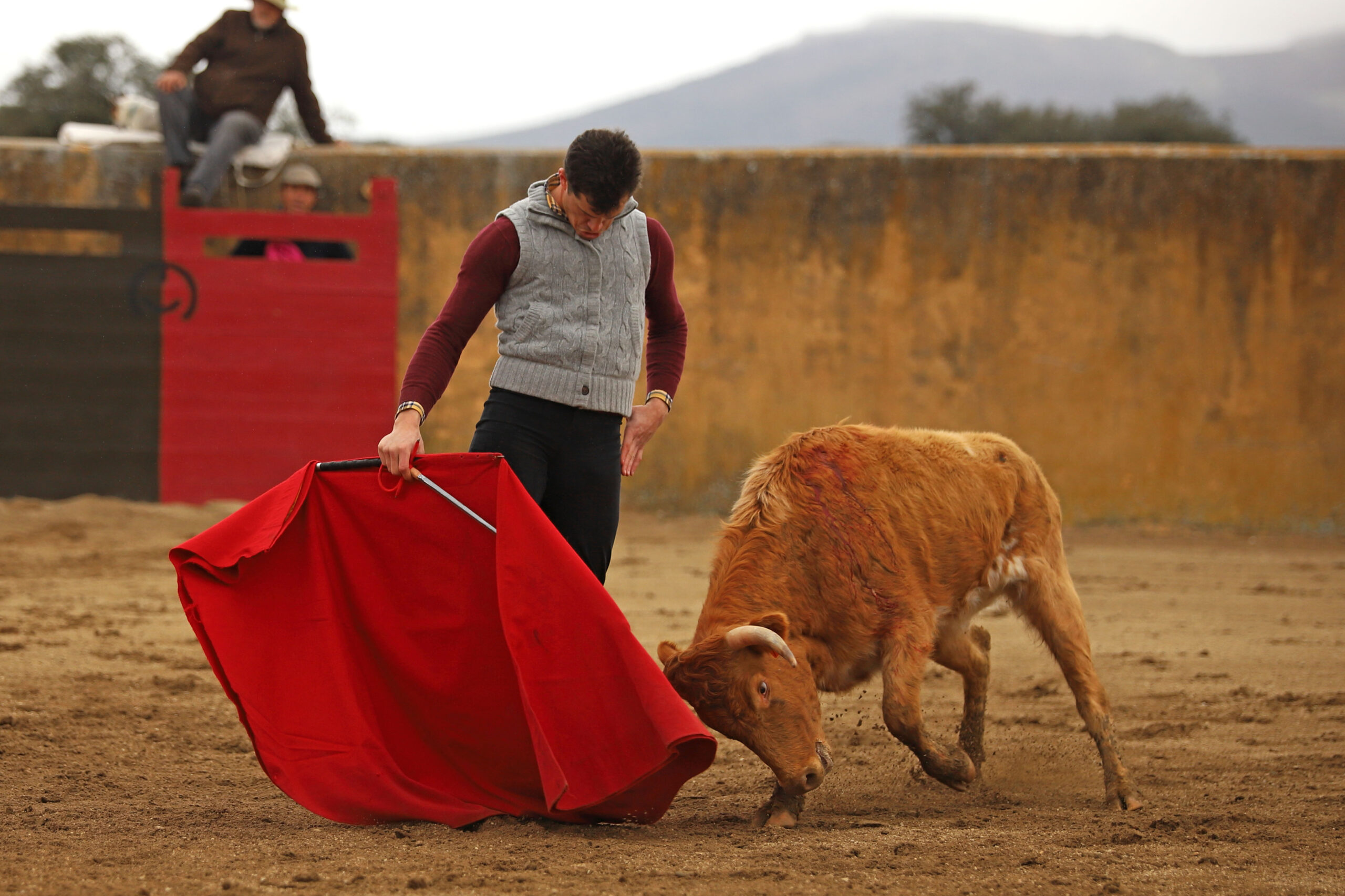 Daniel Luque en Conde de Mayalde
