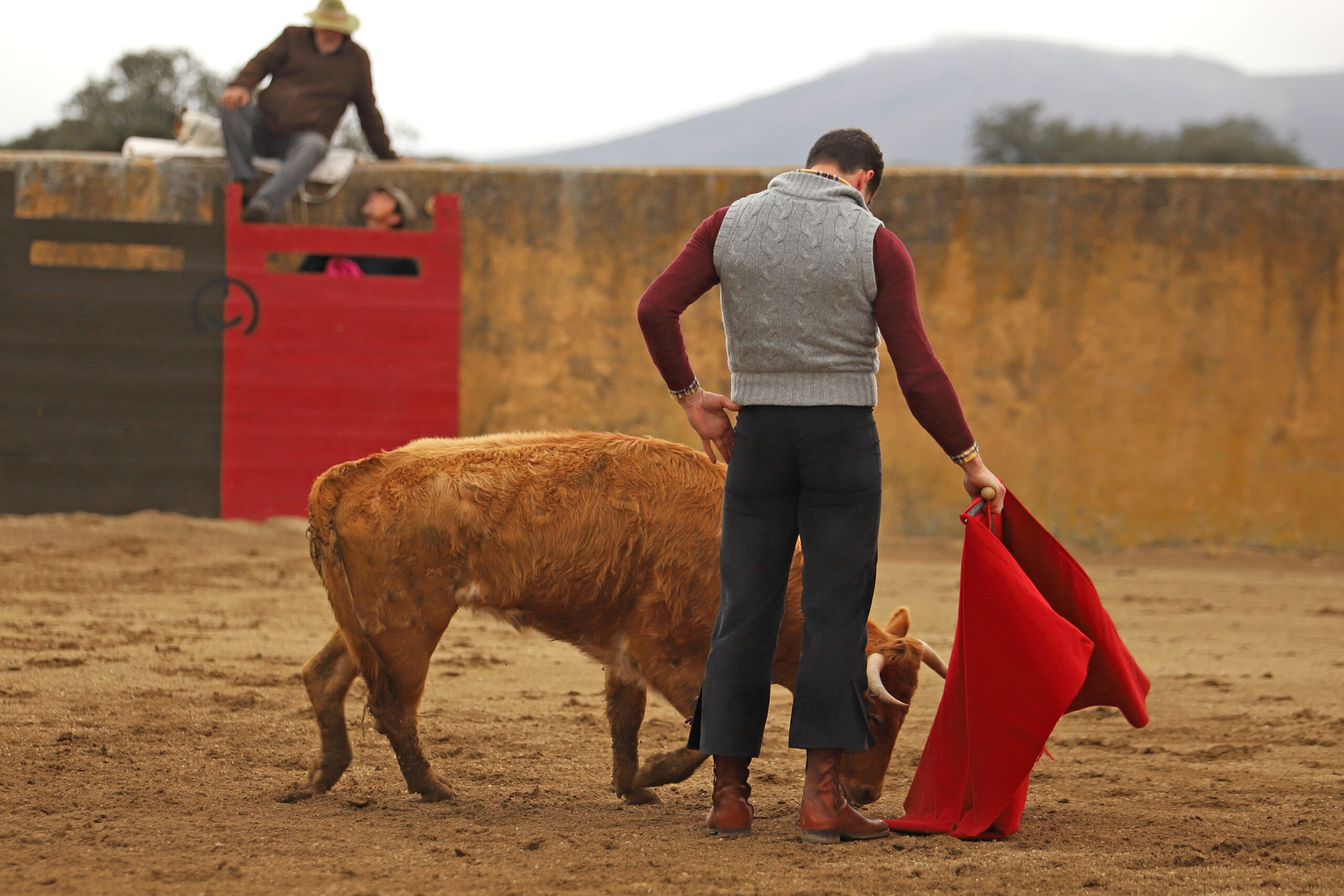 Daniel Luque en Conde de Mayalde