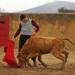 Daniel Luque en Conde de Mayalde