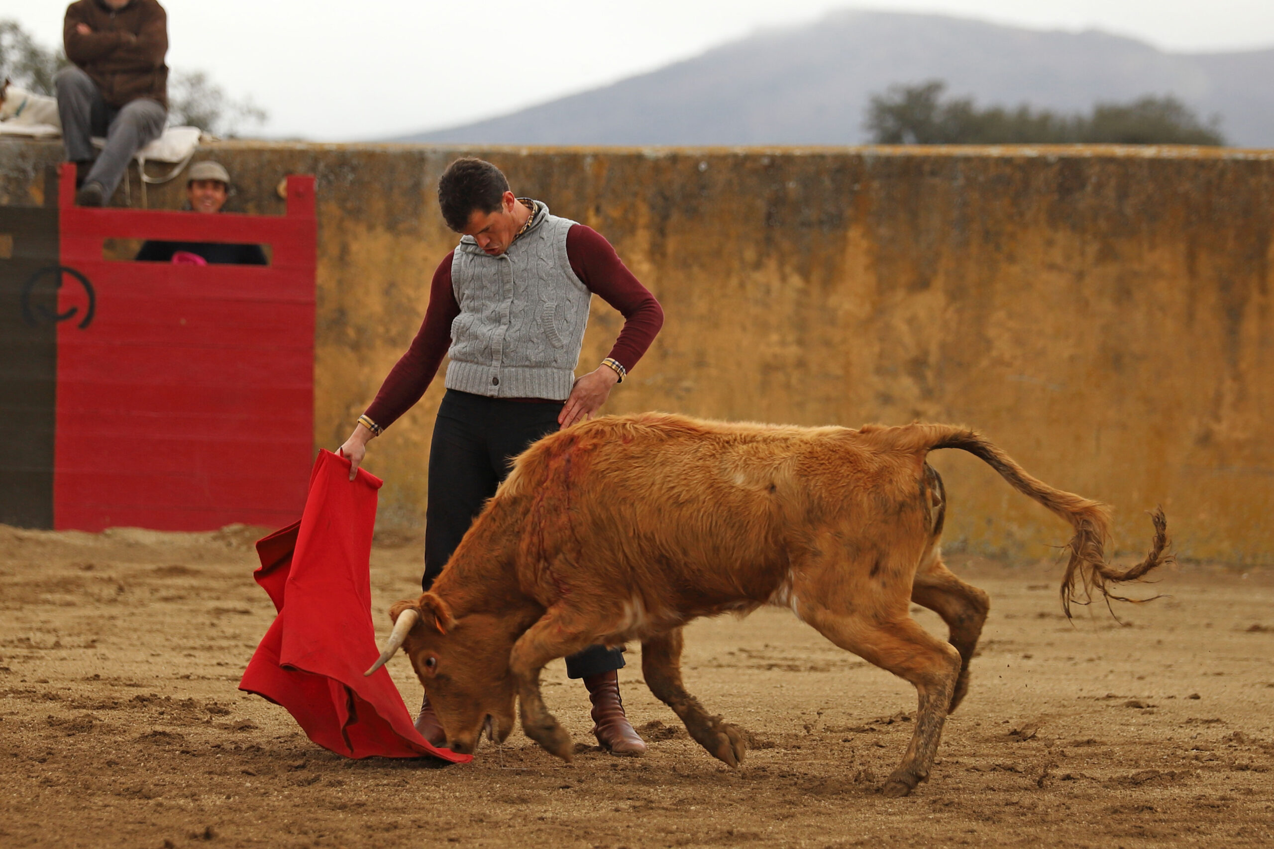 Daniel Luque en Conde de Mayalde