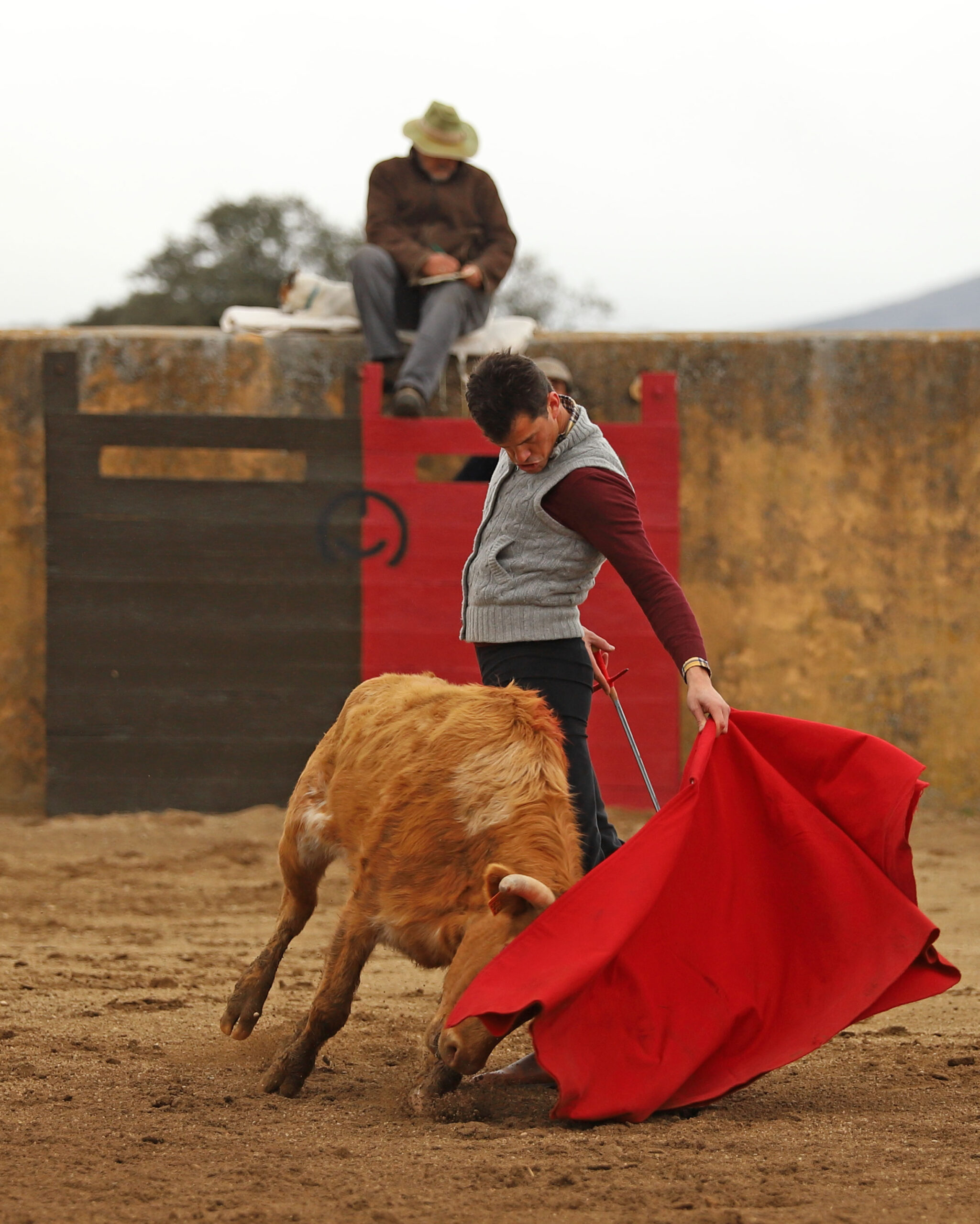 Daniel Luque en Conde de Mayalde