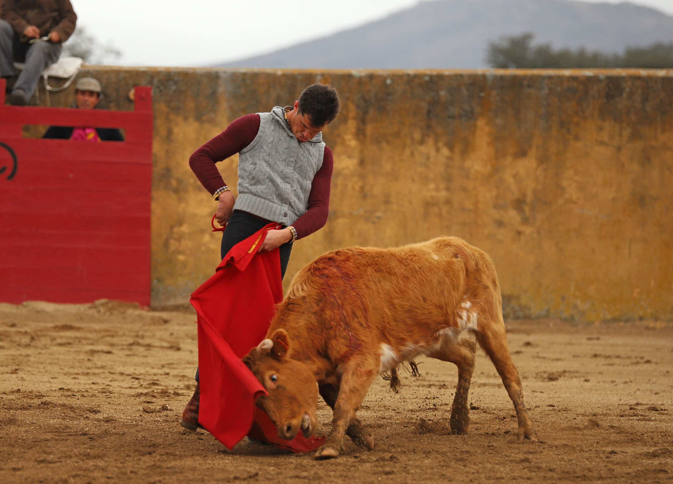 Daniel Luque en Conde de Mayalde