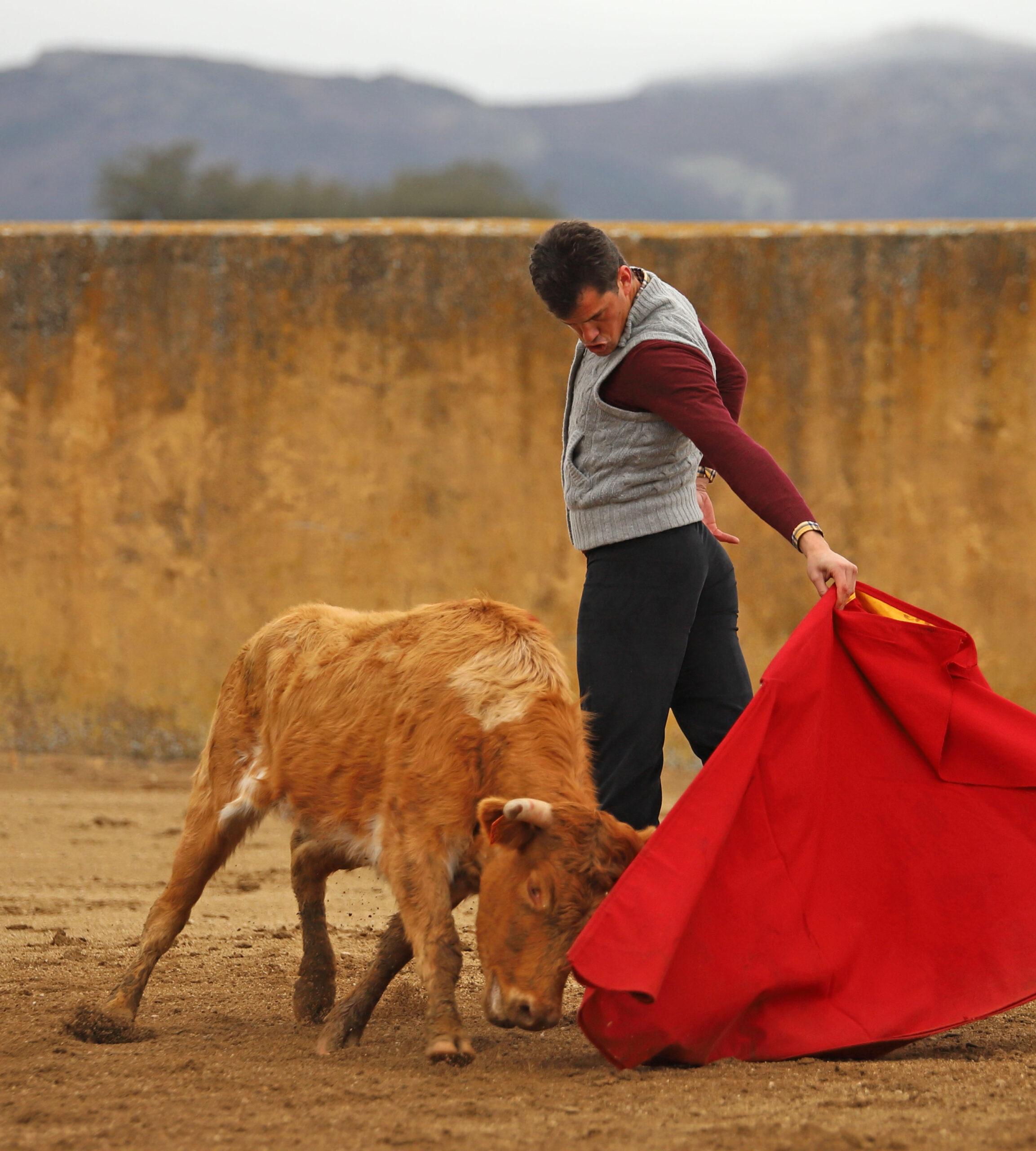 Daniel Luque en Conde de Mayalde