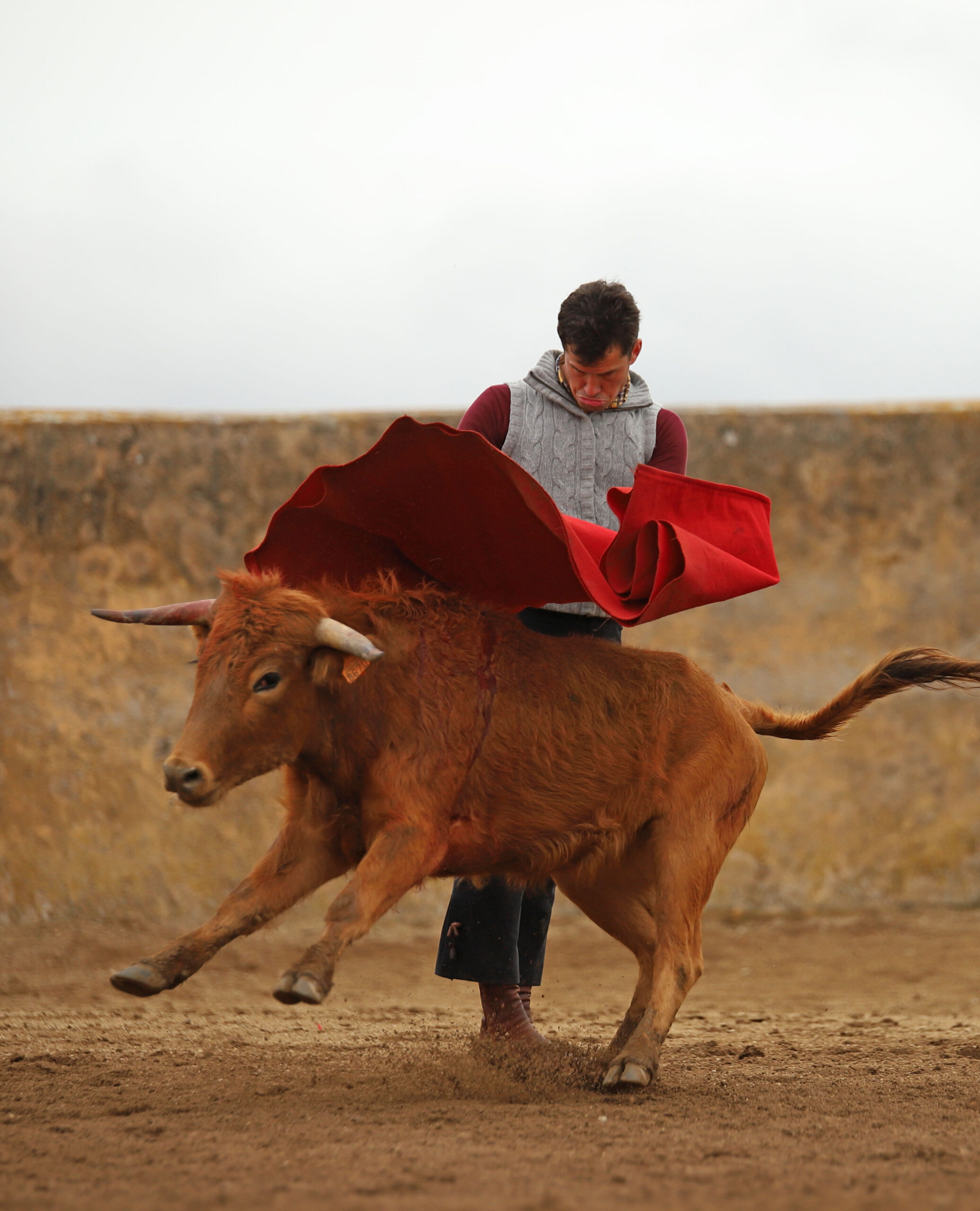 Daniel Luque en Conde de Mayalde
