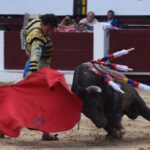 Bogotá (Colombia), sábado 29 de febrero de 2020