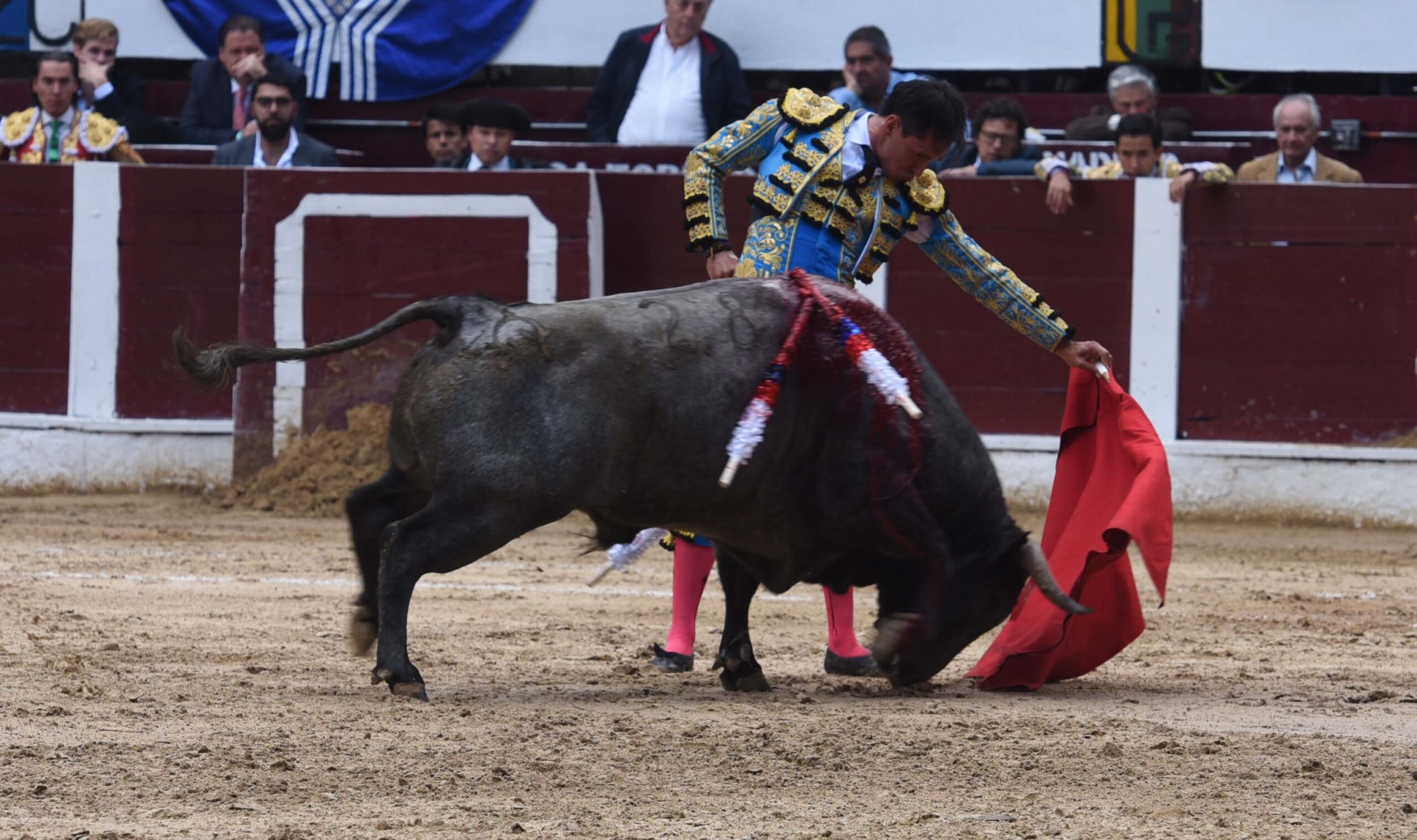 Bogotá (Colombia), sábado 29 de febrero de 2020