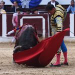 Bogotá (Colombia), sábado 29 de febrero de 2020