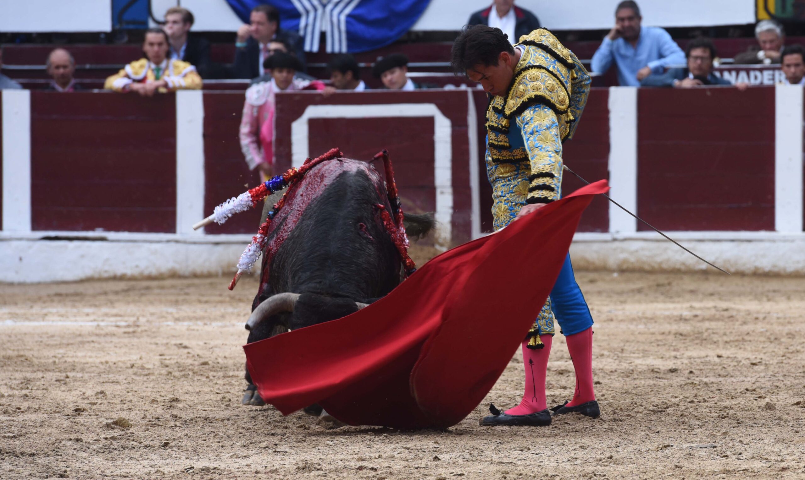 Bogotá (Colombia), sábado 29 de febrero de 2020