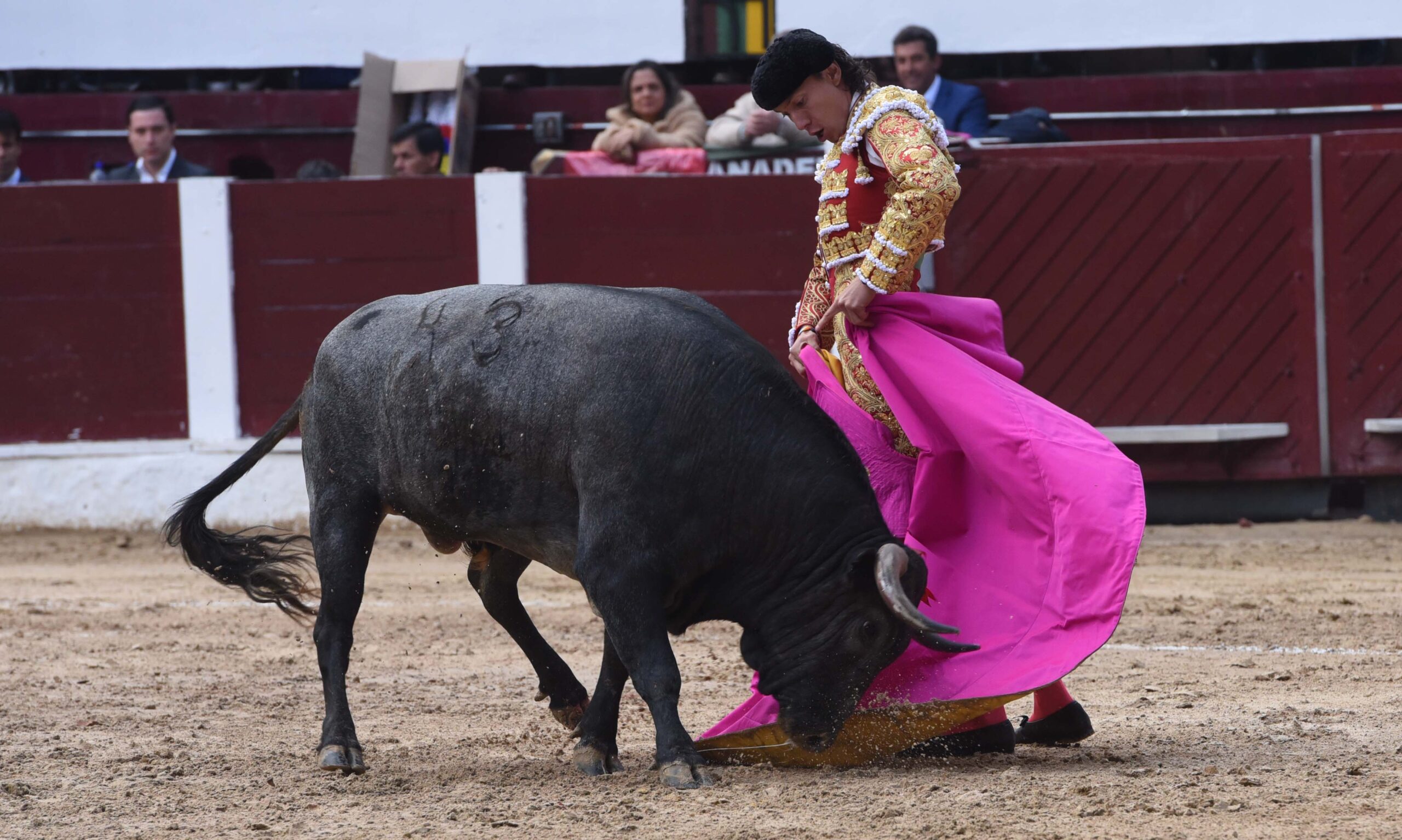 Bogotá (Colombia), sábado 29 de febrero de 2020