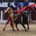 Bogotá (Colombia), sábado 29 de febrero de 2020