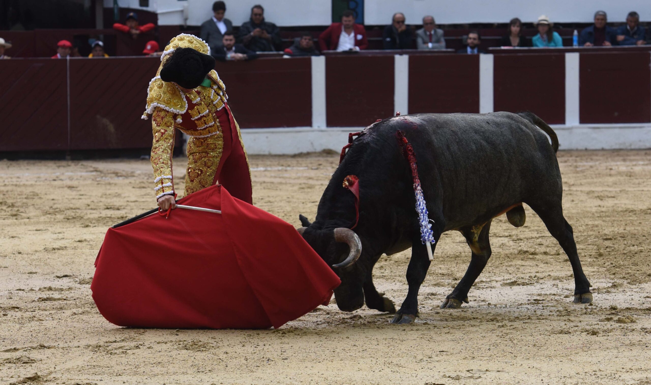 Bogotá (Colombia), sábado 29 de febrero de 2020