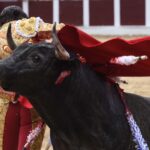 Bogotá (Colombia), sábado 29 de febrero de 2020