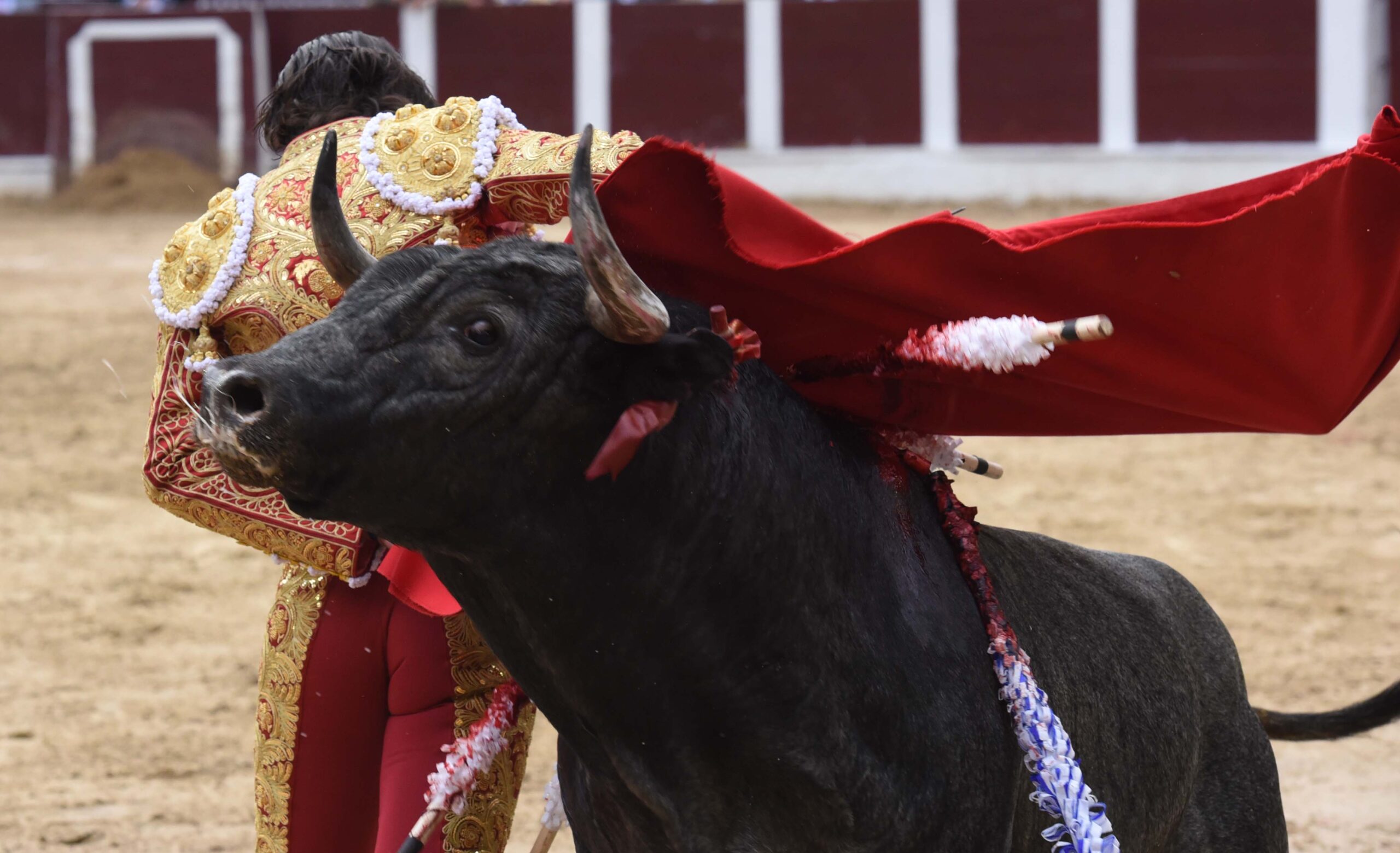 Bogotá (Colombia), sábado 29 de febrero de 2020
