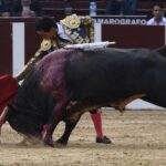 Bogotá (Colombia), sábado 29 de febrero de 2020