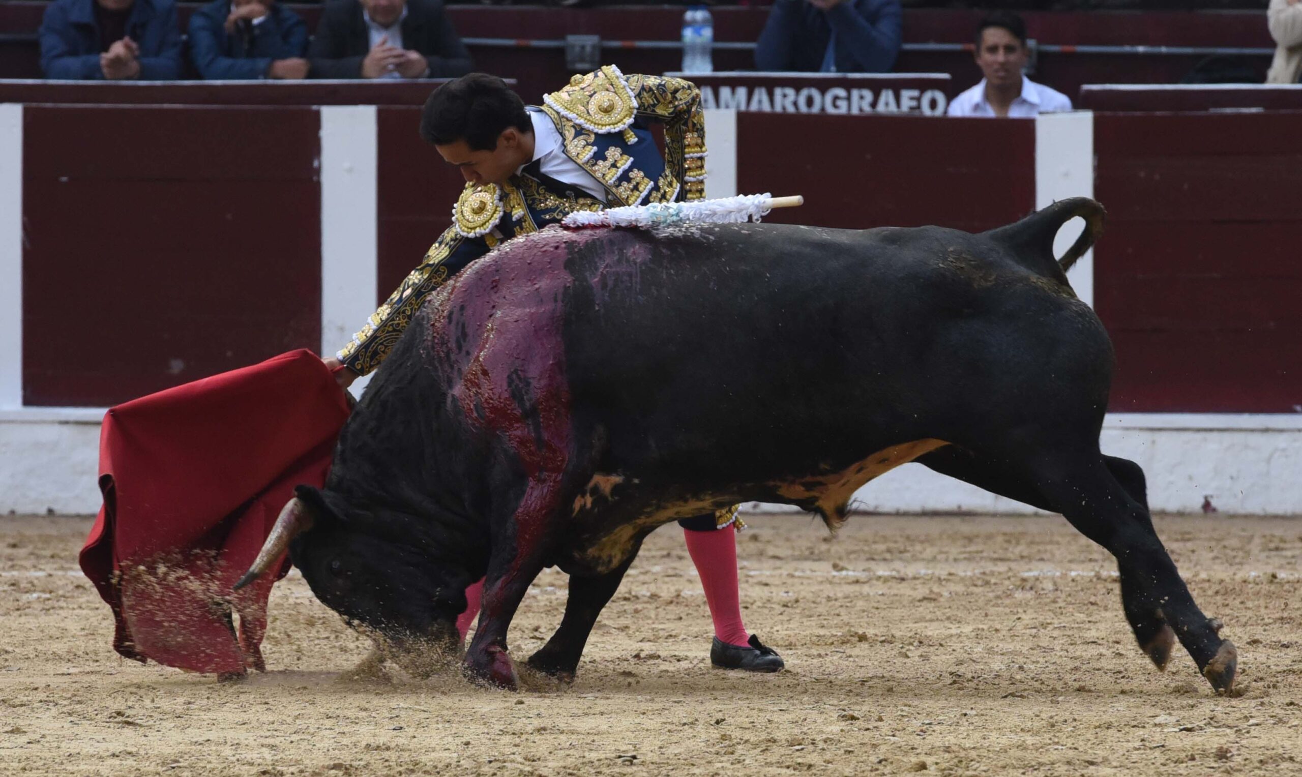 Bogotá (Colombia), sábado 29 de febrero de 2020