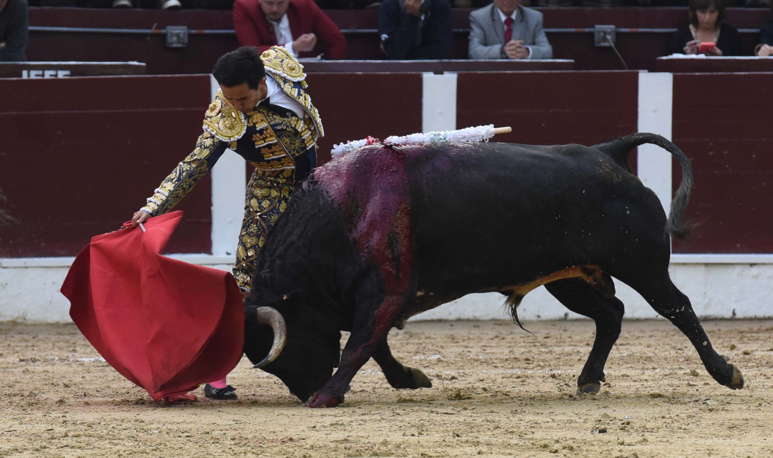 Bogotá (Colombia), sábado 29 de febrero de 2020