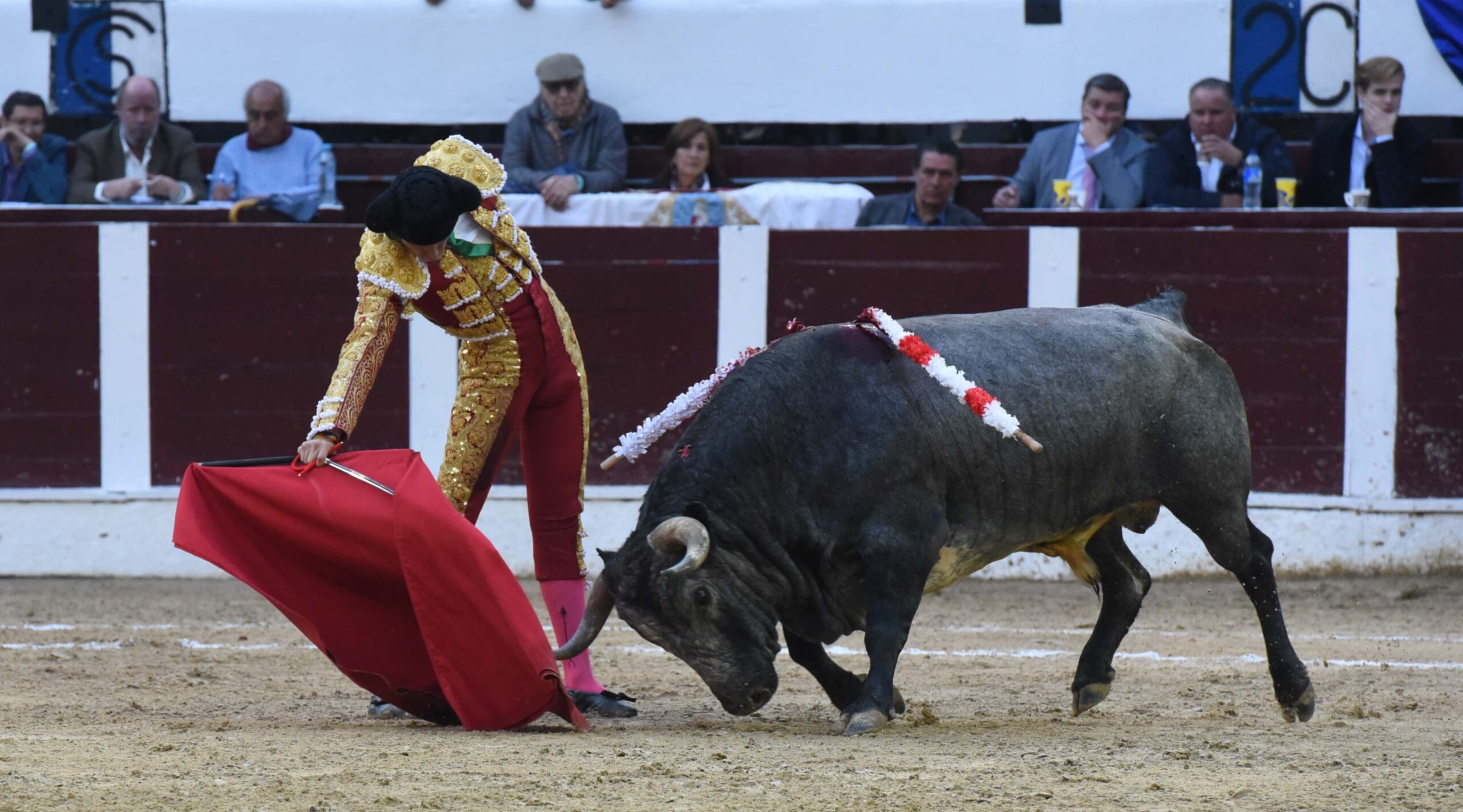 Bogotá (Colombia), sábado 29 de febrero de 2020