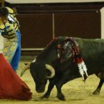 Bogotá (Colombia), sábado 29 de febrero de 2020