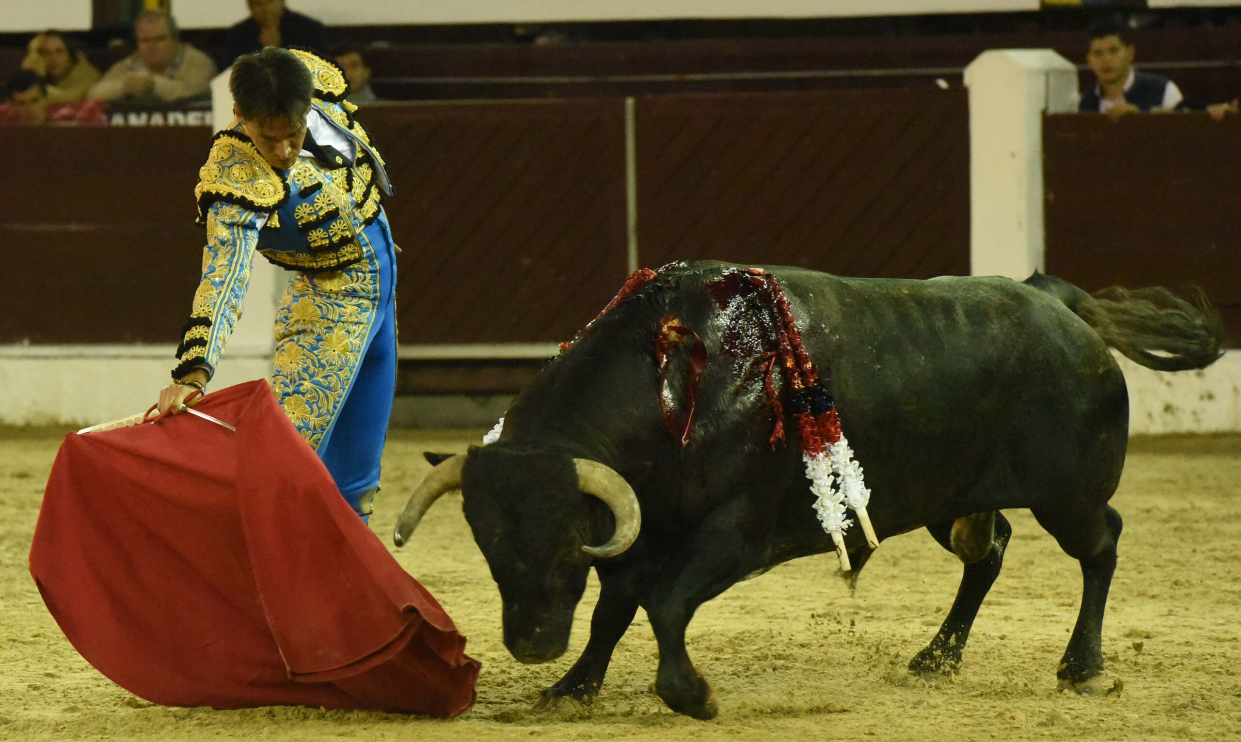 Bogotá (Colombia), sábado 29 de febrero de 2020