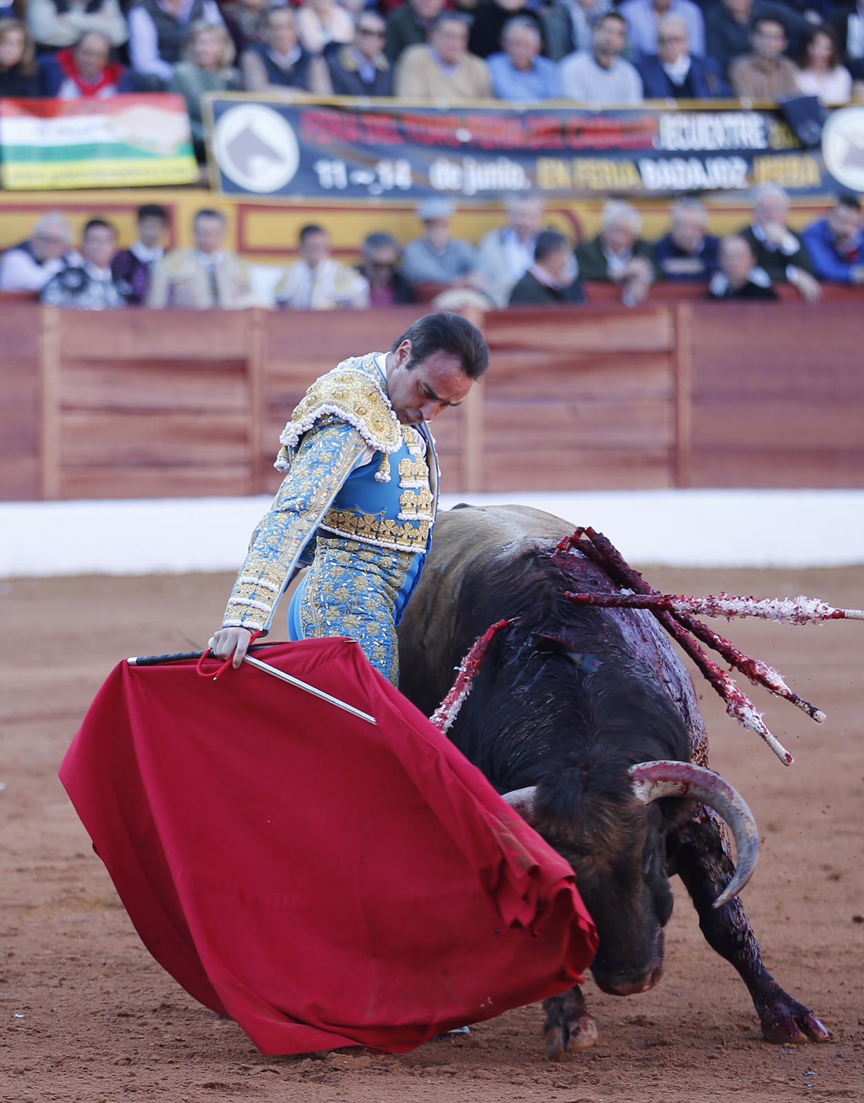 Olivenza (Badajoz), 7 de marzo de 2020.