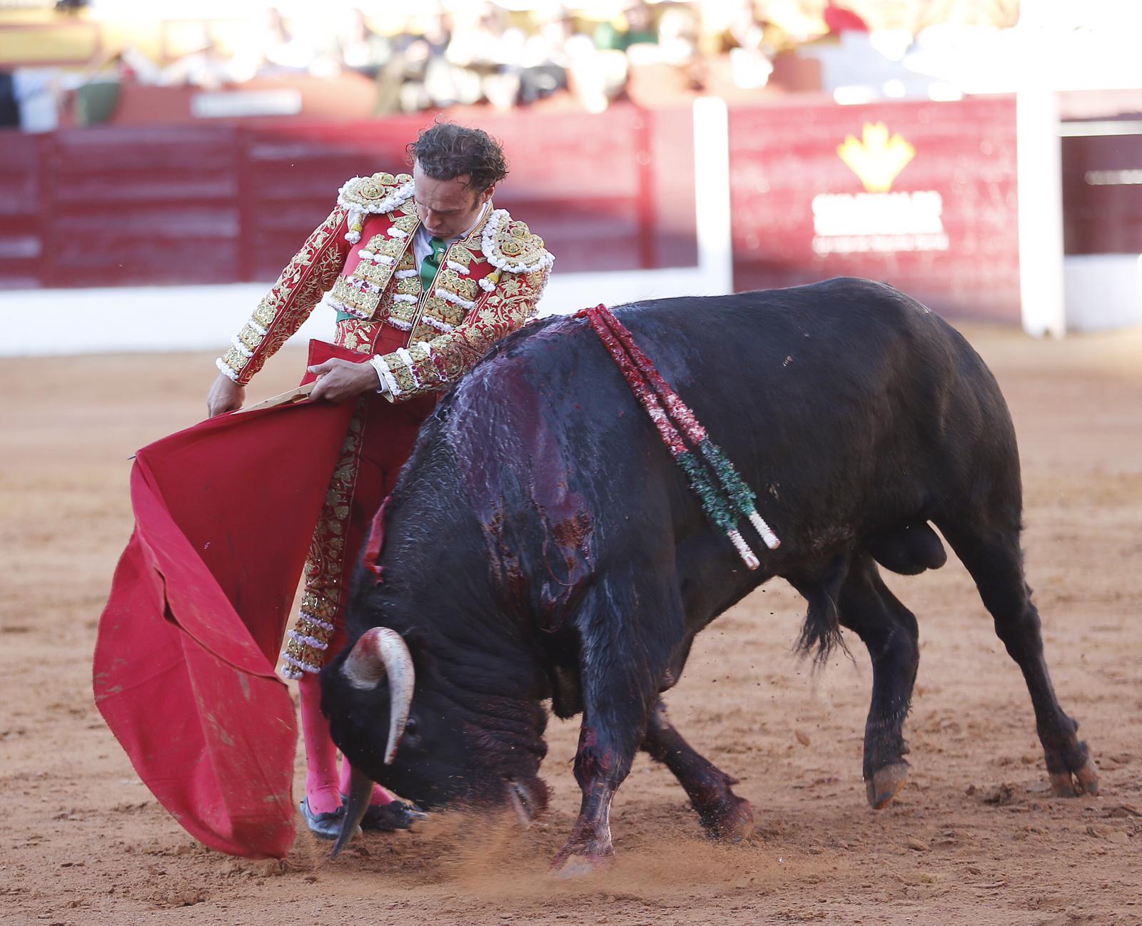 Olivenza (Badajoz), 7 de marzo de 2020.