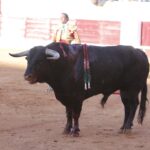 Olivenza (Badajoz), 7 de marzo de 2020.