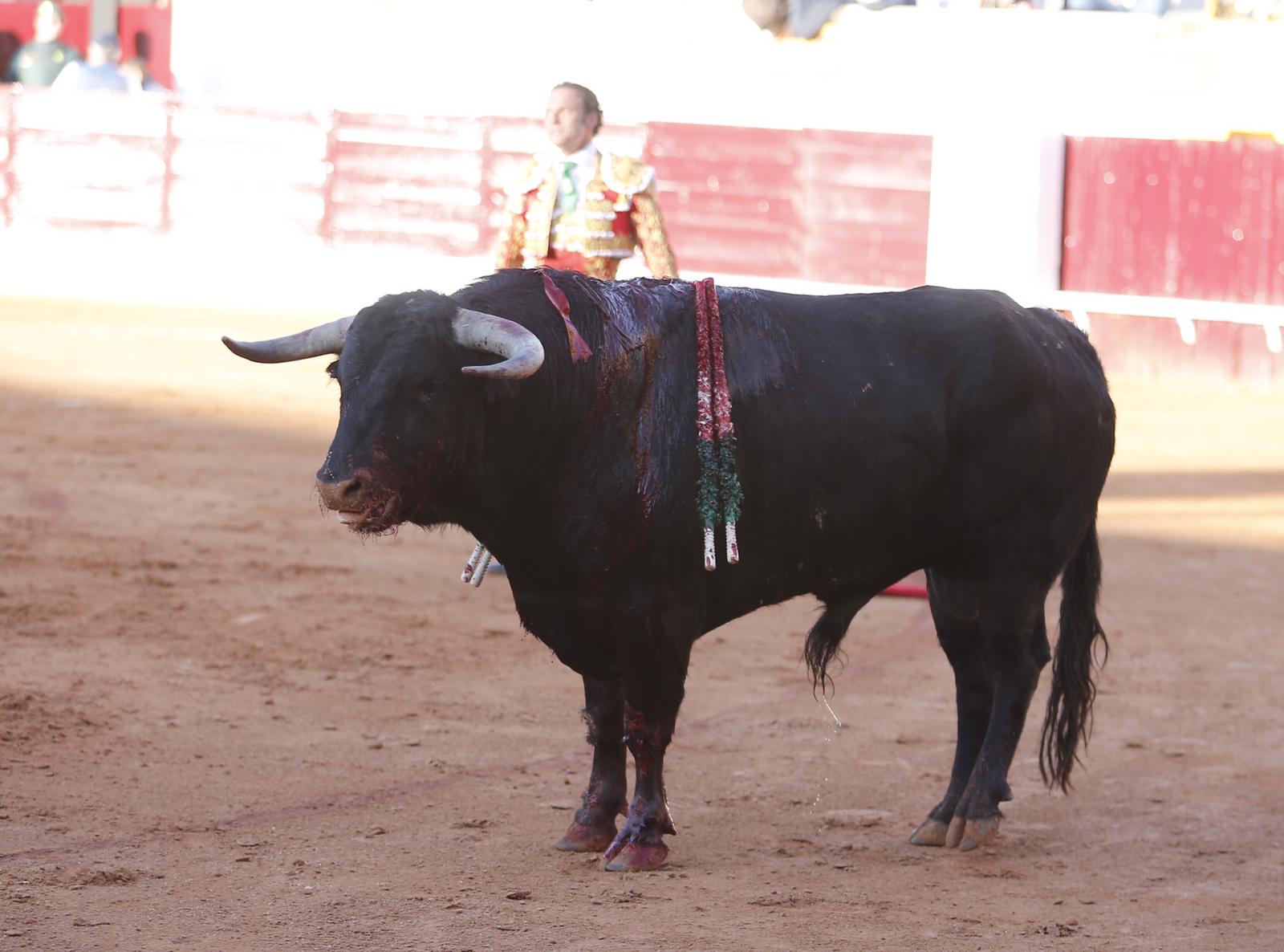 Olivenza (Badajoz), 7 de marzo de 2020.