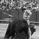 Manzanares, torería con aroma a turrón y eternidad