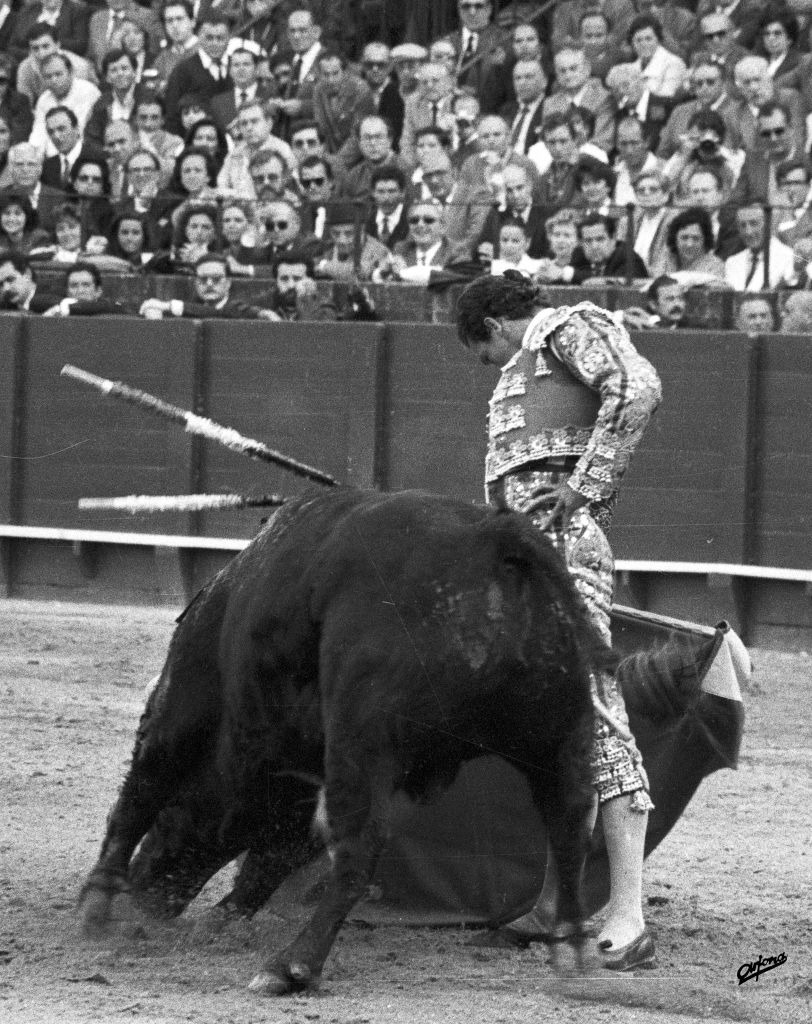 Manzanares, torería con aroma a turrón y eternidad