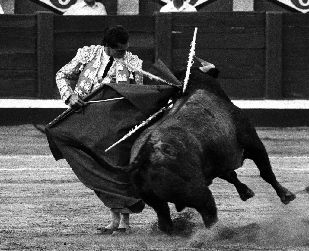 Manzanares, torería con aroma a turrón y eternidad