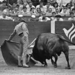 Manzanares, torería con aroma a turrón y eternidad