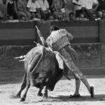Manzanares, torería con aroma a turrón y eternidad