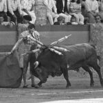 Manzanares, torería con aroma a turrón y eternidad