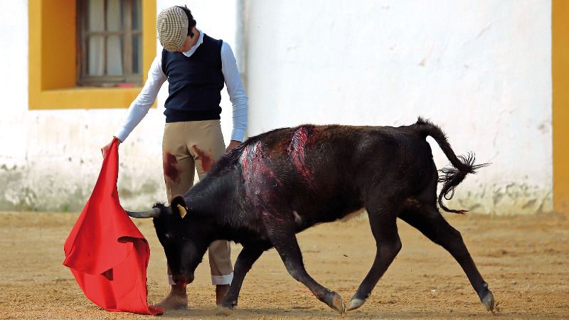 Un sueño… en busca de lo diferente