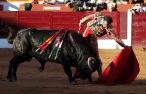 Olivenza (Badajoz), 7 de marzo de 2020.