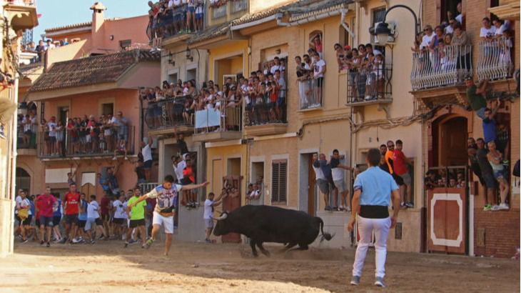 La Comunidad Valenciana se queda sin bous al carrer