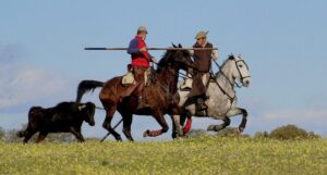Tentadero a campo abierto
