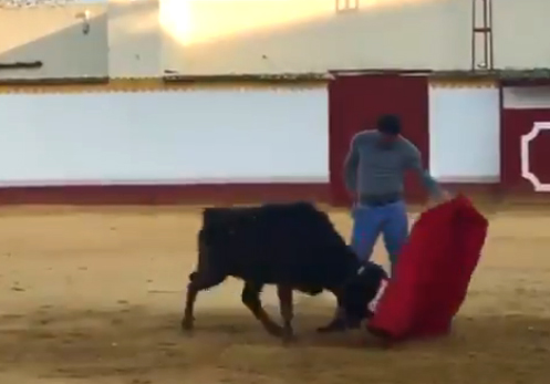 Enrique Ponce, imaginación y temple en tiempos de confinamiento