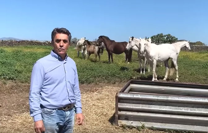 Lecciones camperas: Diego, el caballo estrella de Victorino