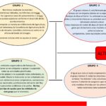 Análisis bous al carrer. Covid-19