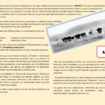 Análisis bous al carrer. Covid-19