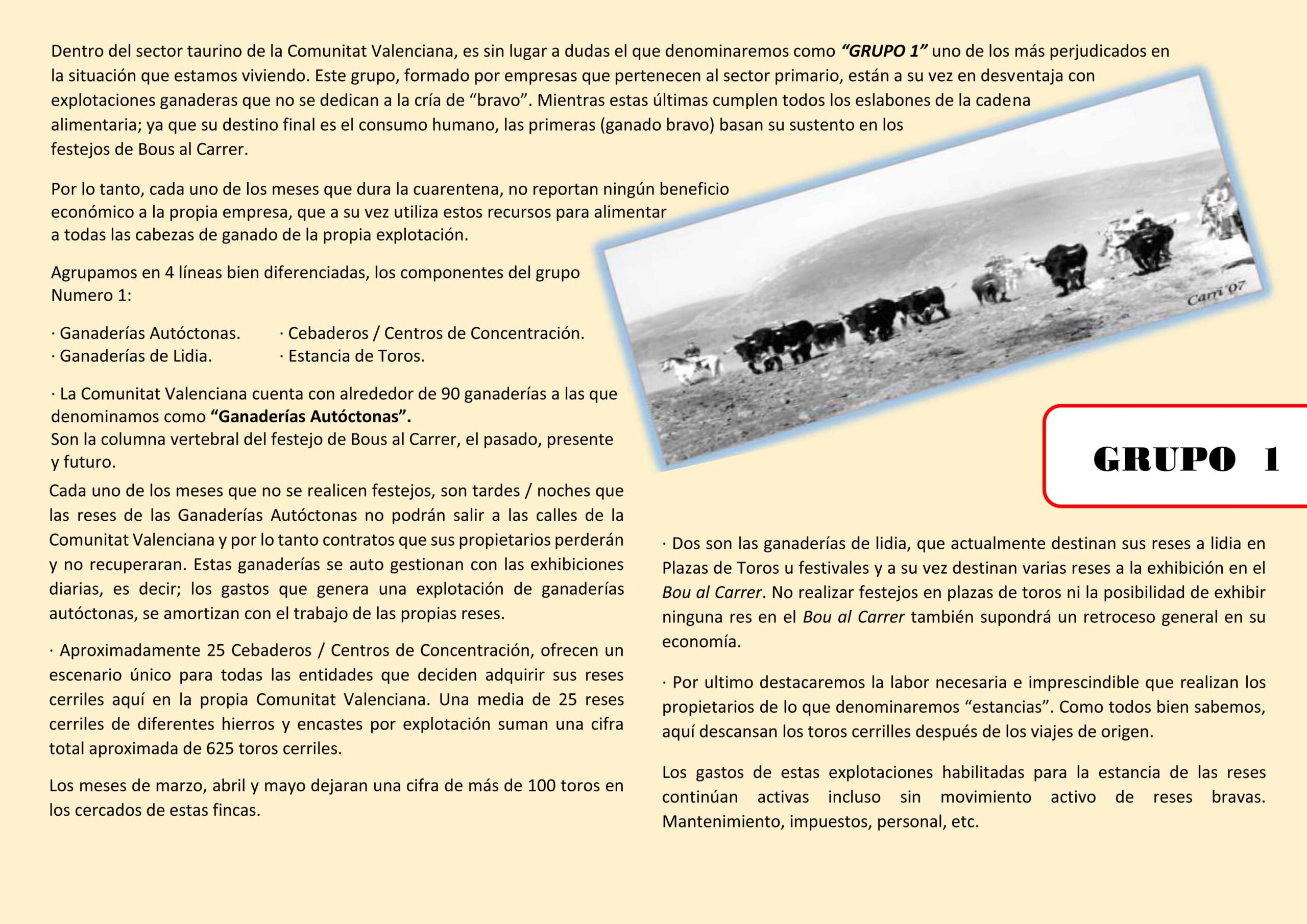 Análisis bous al carrer. Covid-19