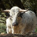 Los Maños. Camada 2020