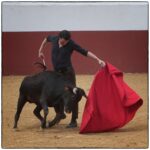 Tentadero en confinamiento en Fuente Ymbro.