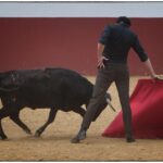 Tentadero en confinamiento en Fuente Ymbro.
