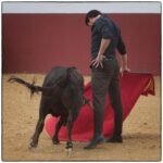 Tentadero en confinamiento en Fuente Ymbro.